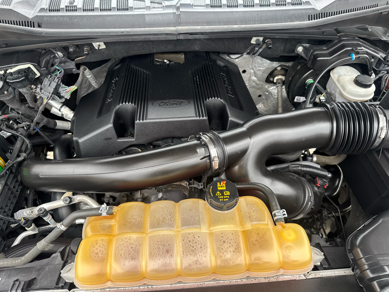 Ford F-150 XLT 4WD 2019