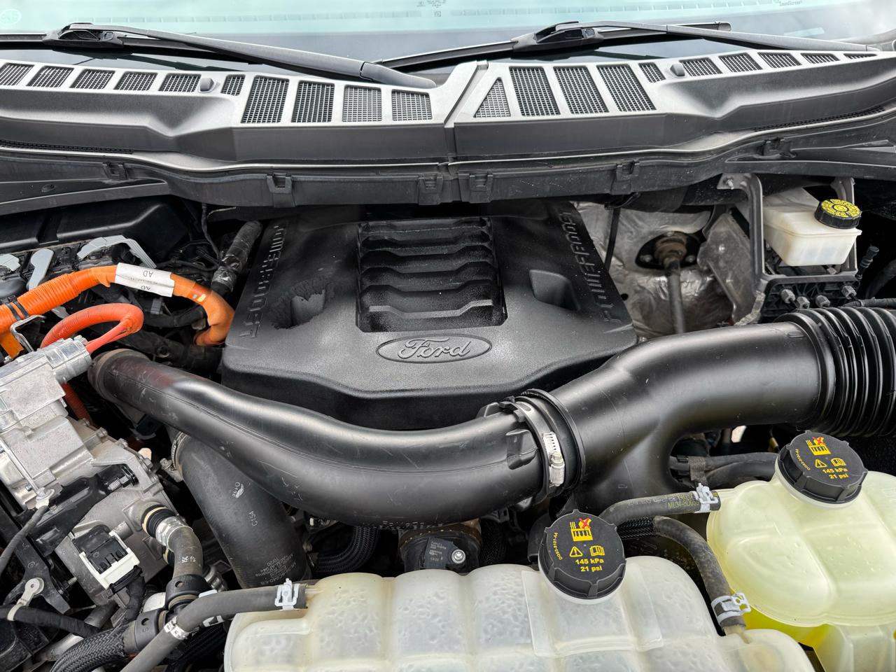 Ford F-150 XLT SuperCrew 5.5-ft. Bed 4WD 2021