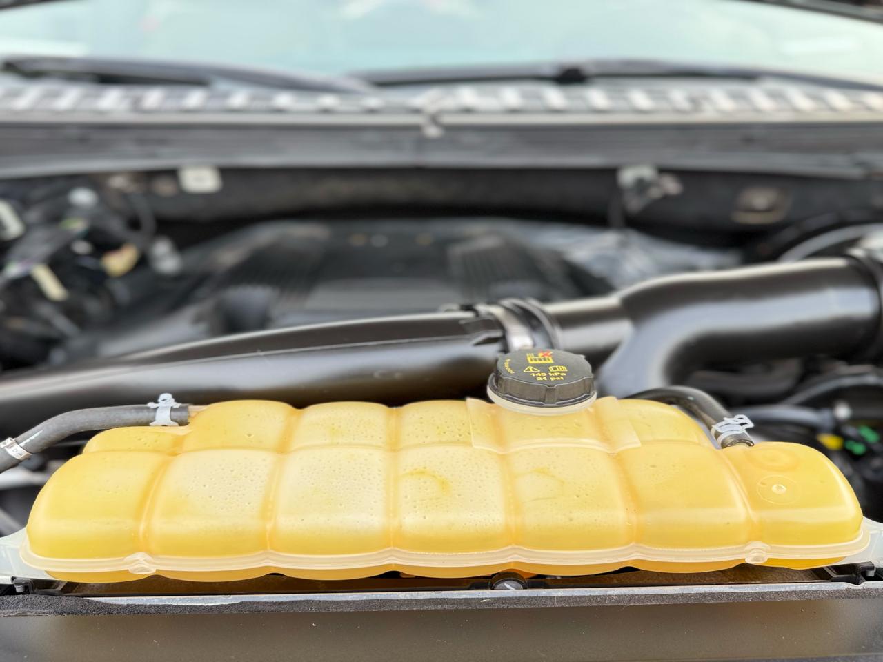 Ford Expedition XLT 2WD 2019