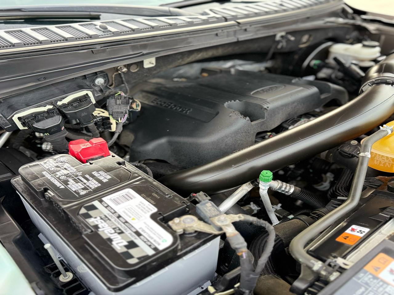 Ford Expedition XLT 2WD 2019