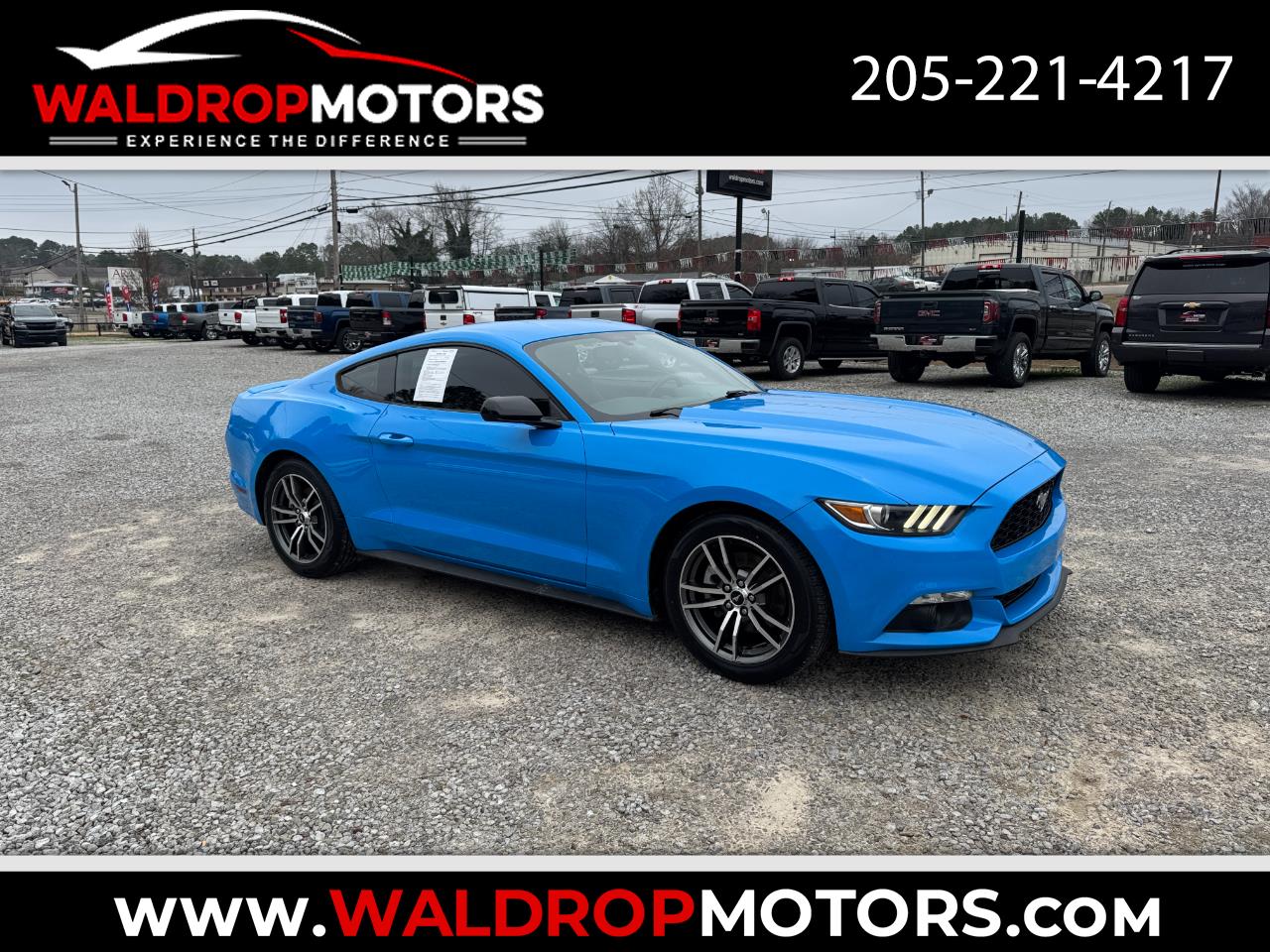 Ford Mustang EcoBoost Fastback 2017