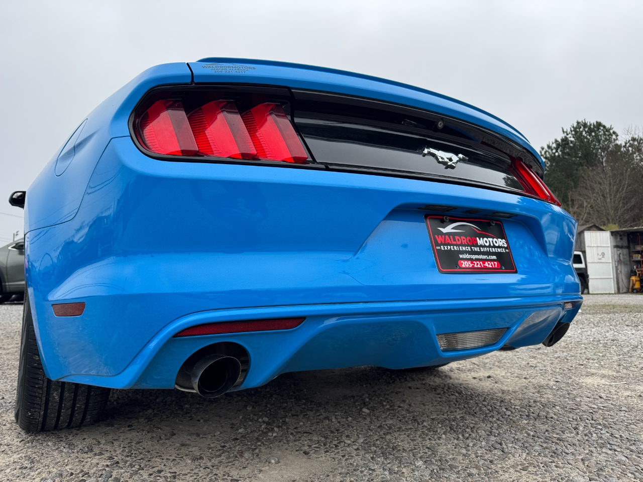 Ford Mustang EcoBoost Fastback 2017