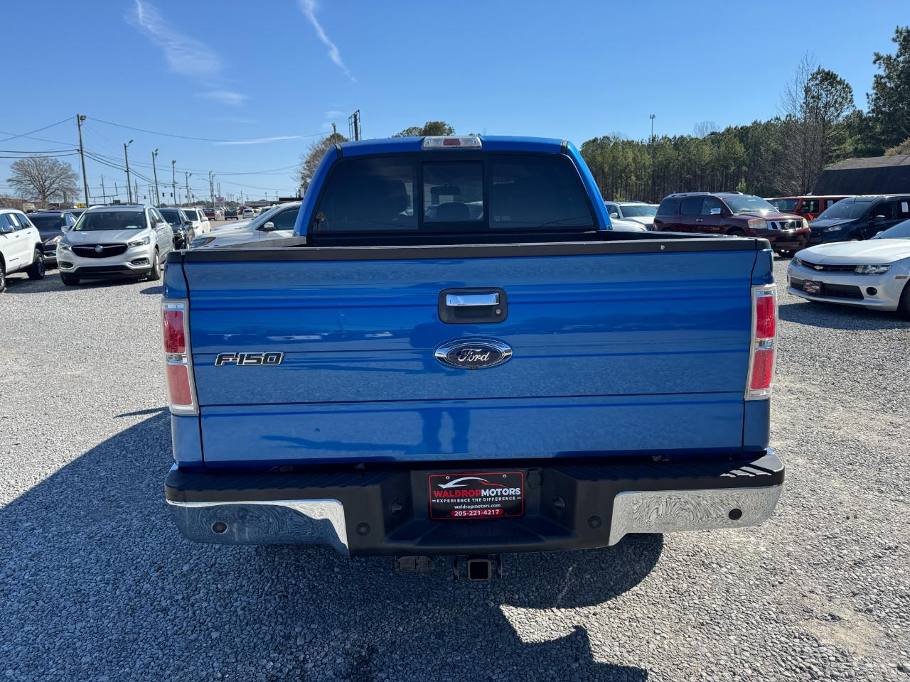 Ford F-150 4WD SuperCrew 145" XLT 2013