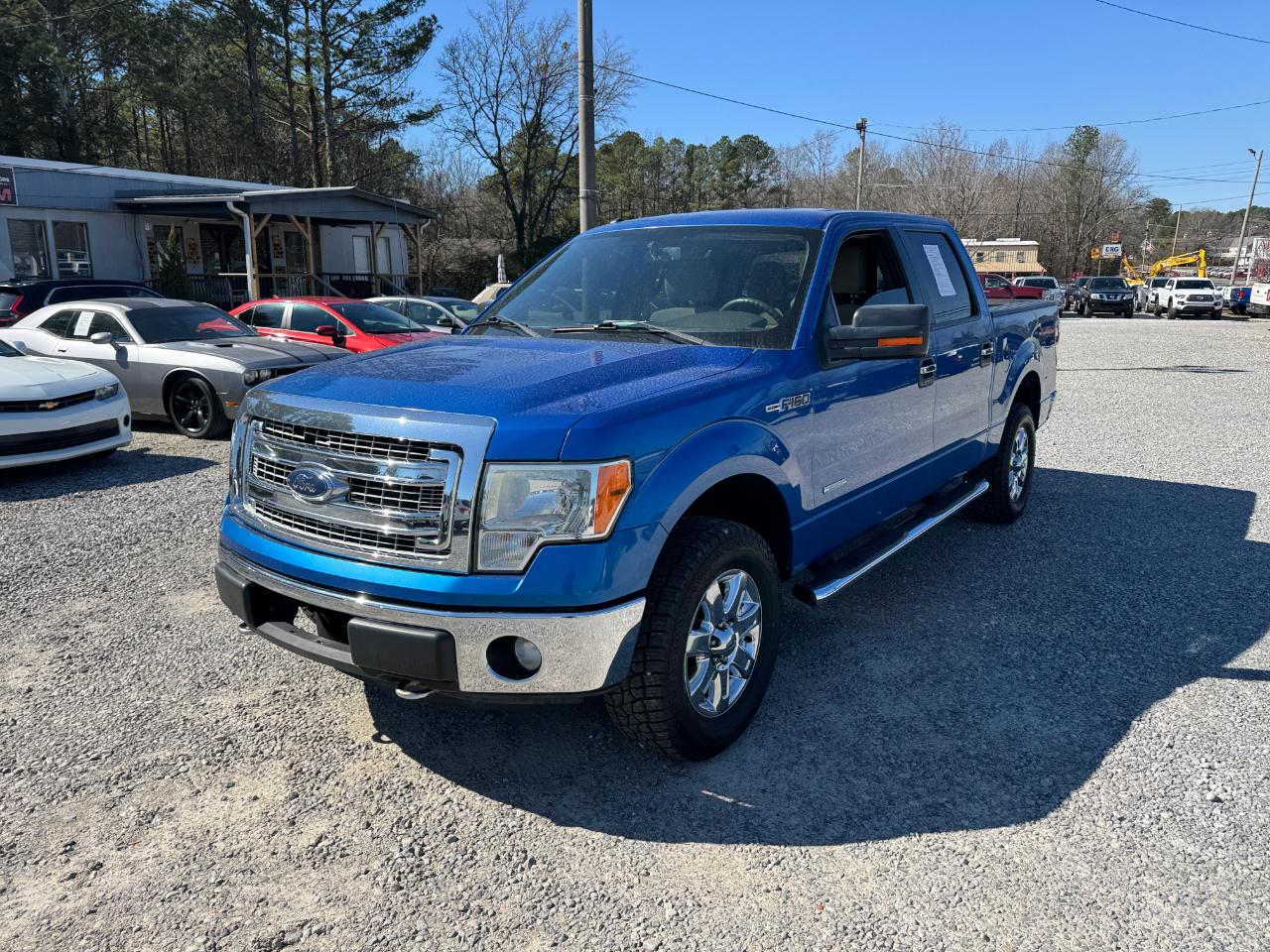 Ford F-150 4WD SuperCrew 145" XLT 2013