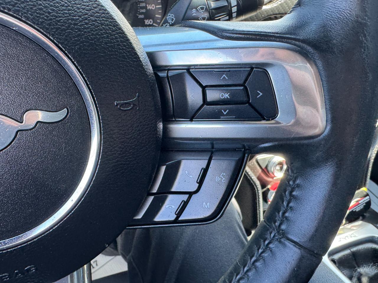 Ford Mustang EcoBoost Fastback 2018