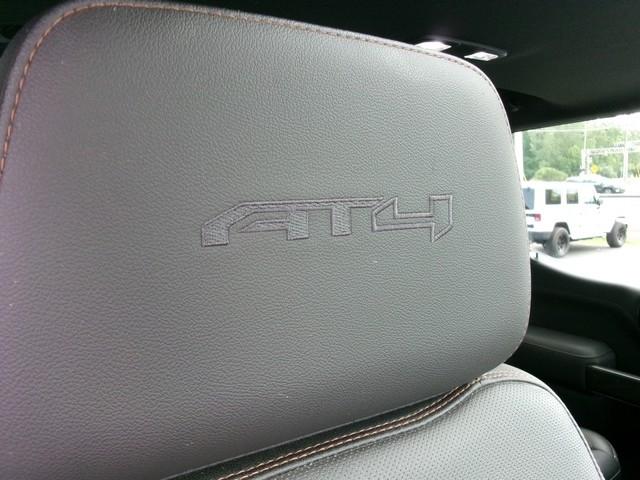 GMC Sierra 1500  2019
