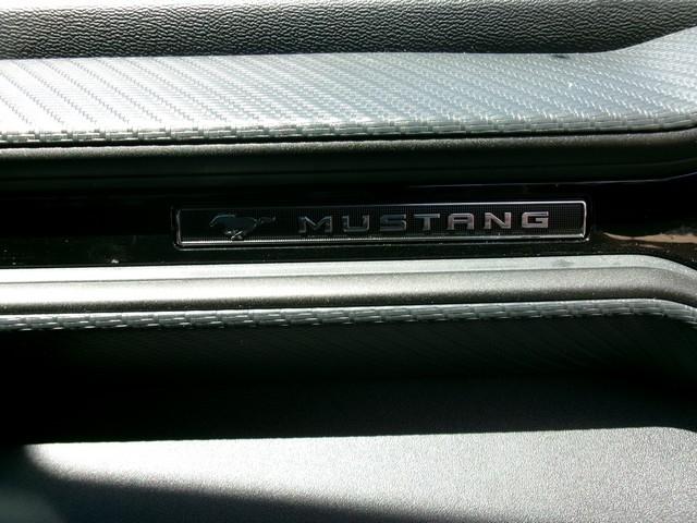 Ford Mustang  2024