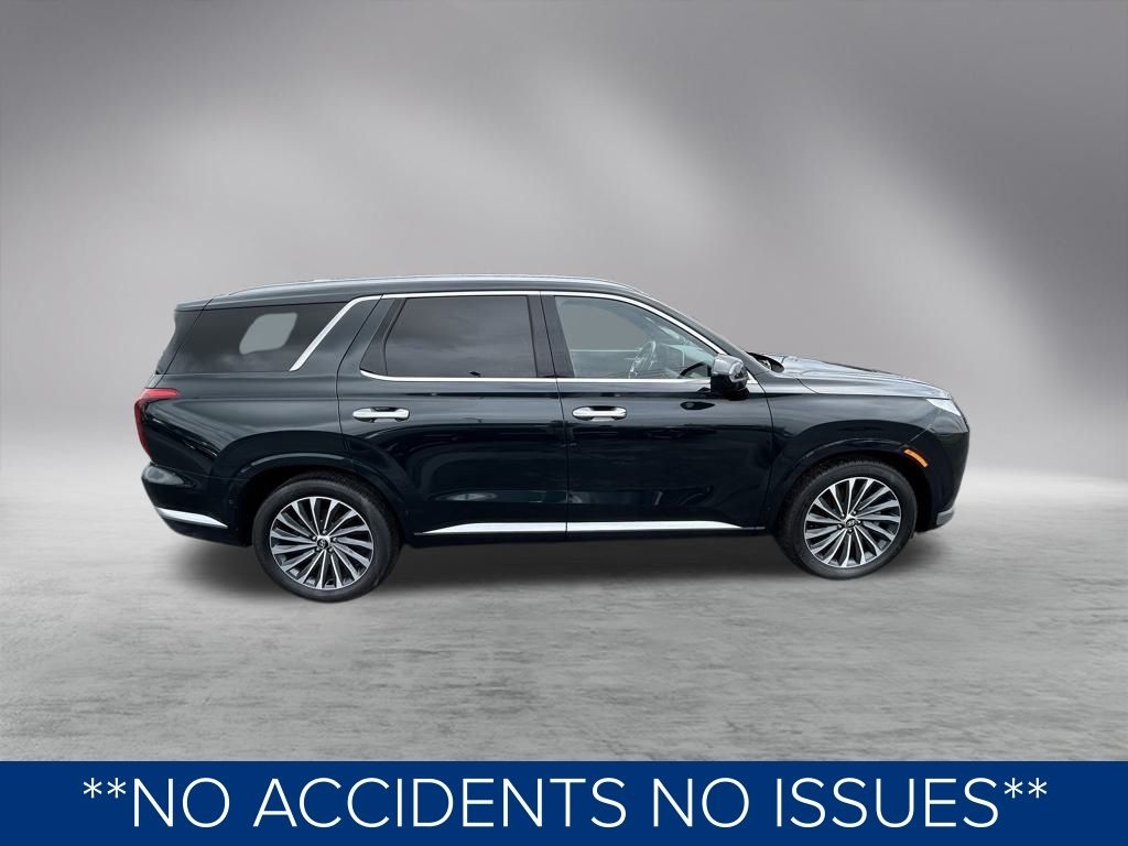Hyundai Palisade Calligraphy 2024 Hyundai Palisade Calligraphy 2024