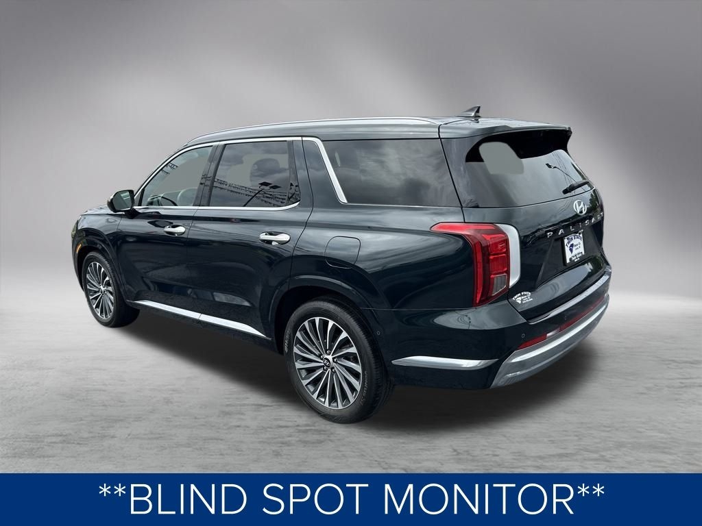 Hyundai Palisade Calligraphy 2024 Hyundai Palisade Calligraphy 2024