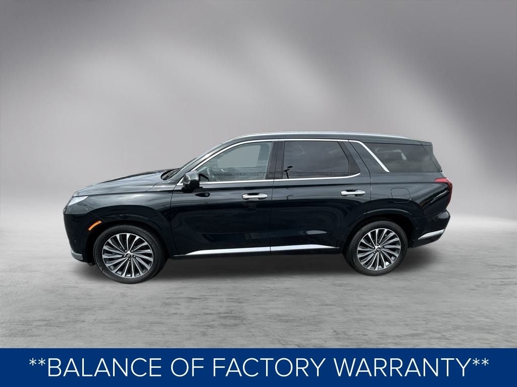 Hyundai Palisade Calligraphy 2024 Hyundai Palisade Calligraphy 2024