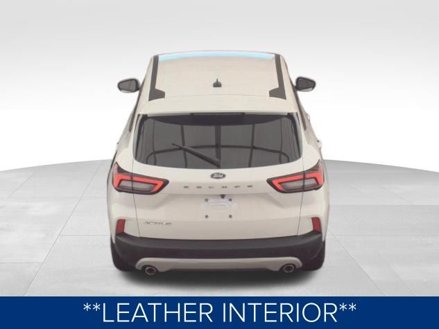 Ford Escape Active 2024