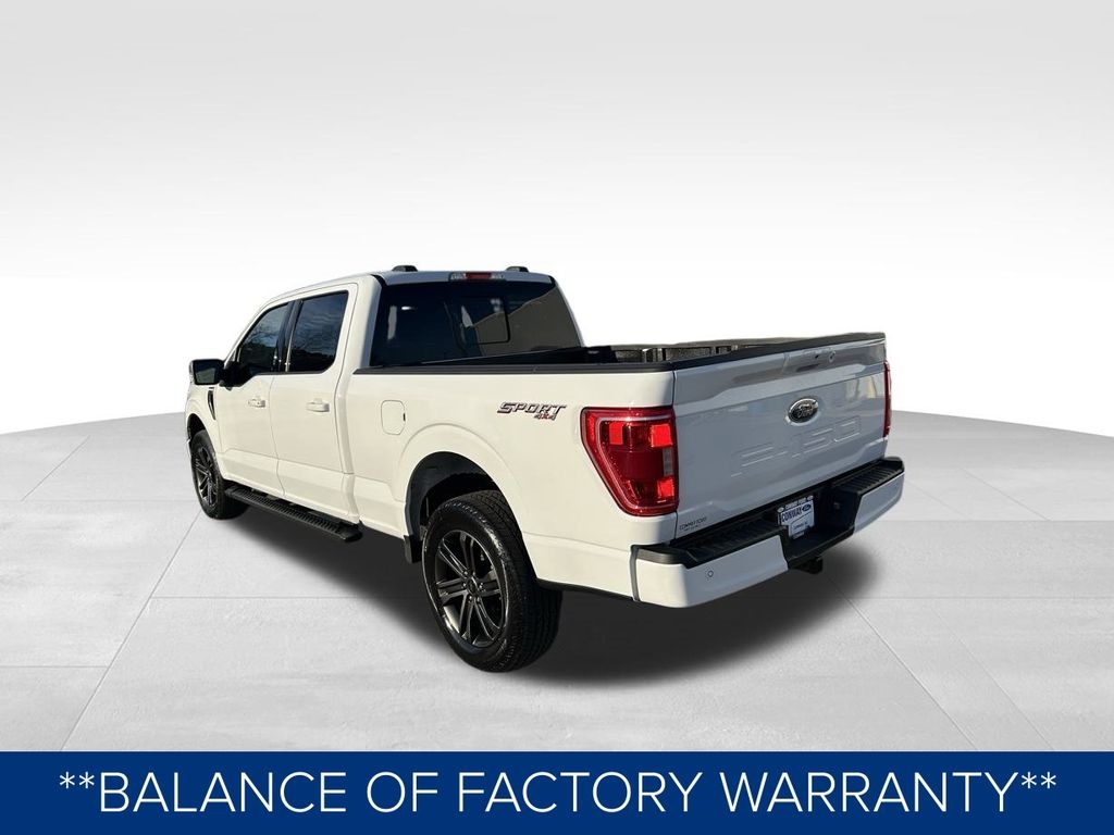 Ford F-150 XL SuperCrew 6.5-ft. Bed 4WD 2022