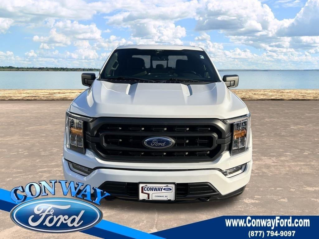 Ford F-150 XL SuperCrew 6.5-ft. Bed 4WD 2022