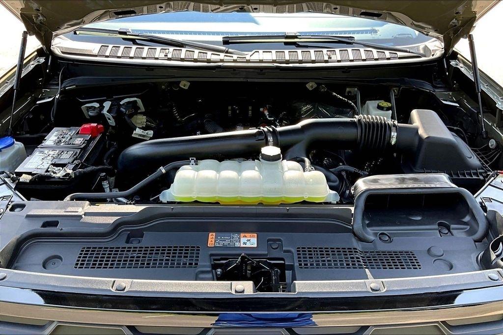 Ford Expedition Tremor 4WD 2025