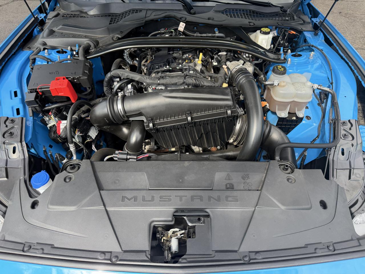 Ford Mustang Eco Premium 2D Convertible 2025