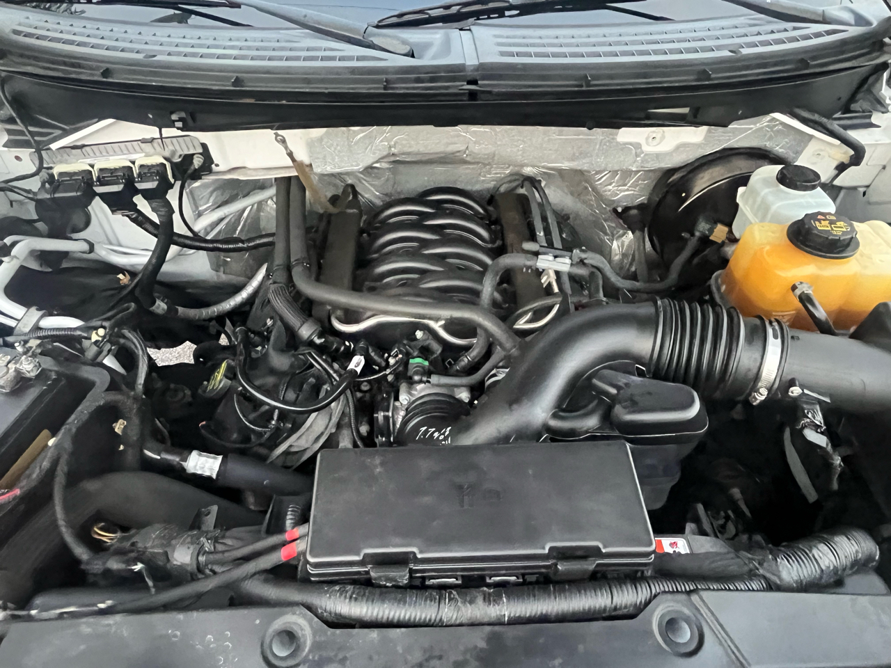 2013 Ford F-150 STX photo 3