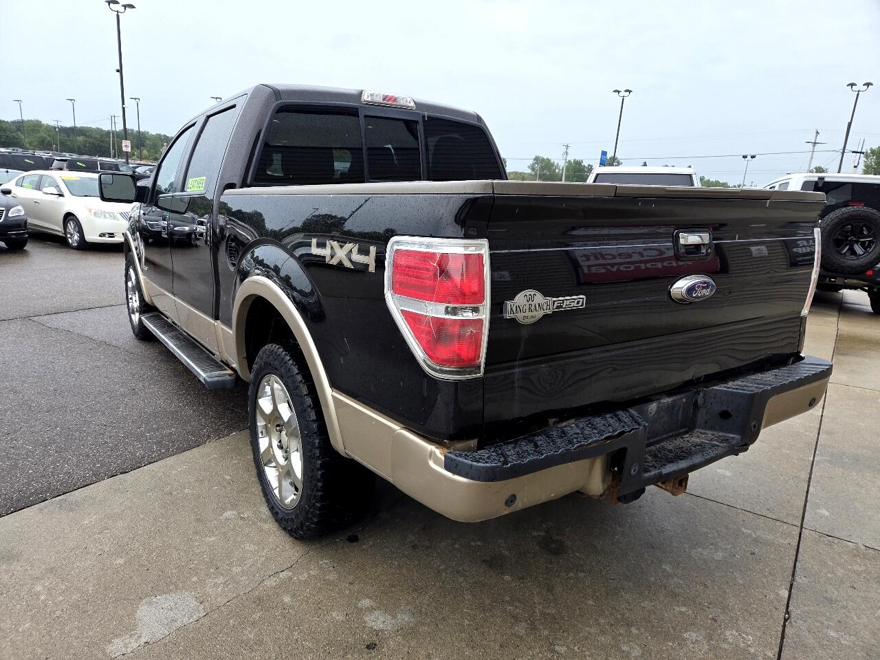 2013 Ford F-150 King Ranch photo 7