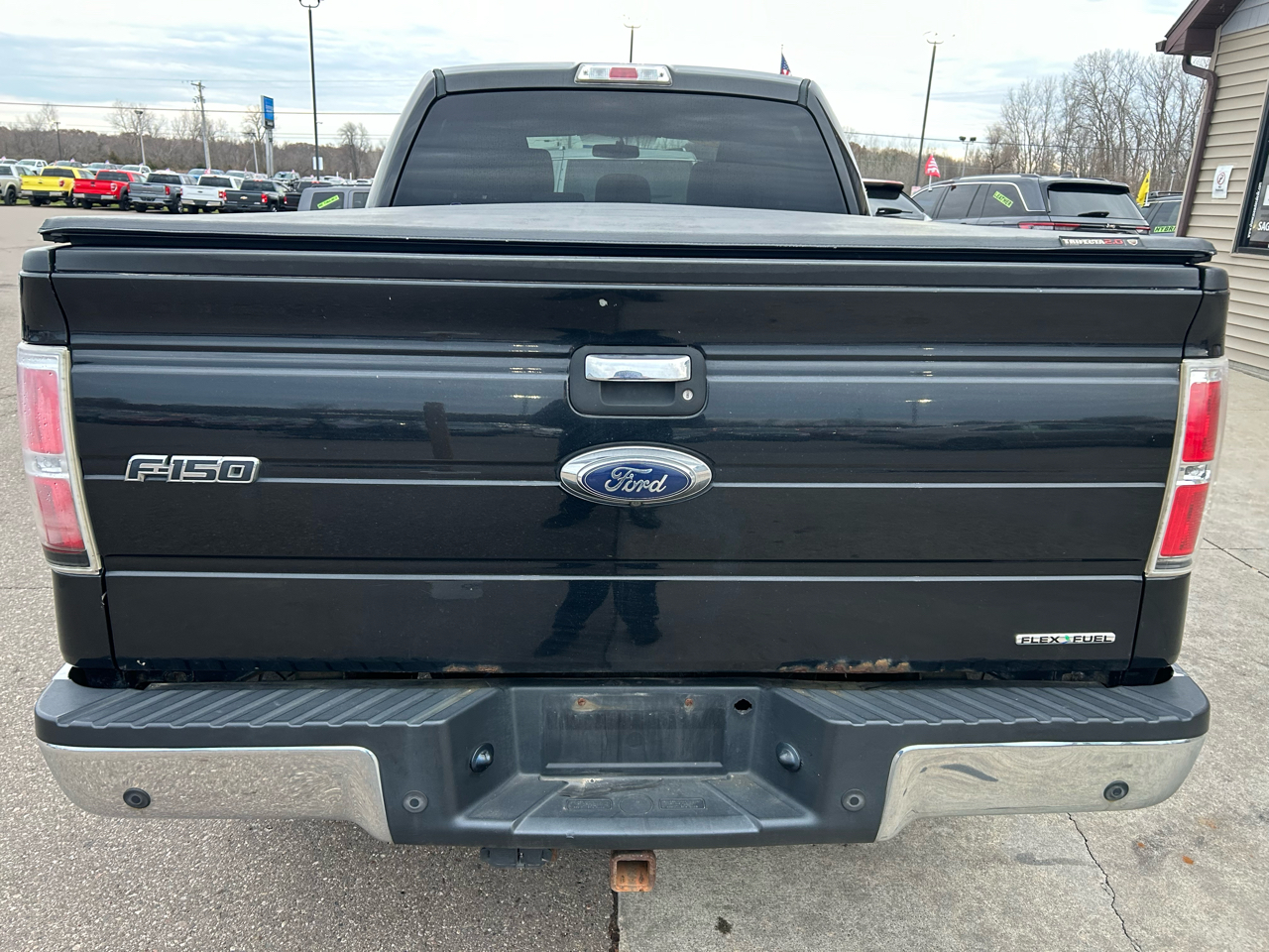 Ford F-150 4WD SuperCrew 145" XLT 2014