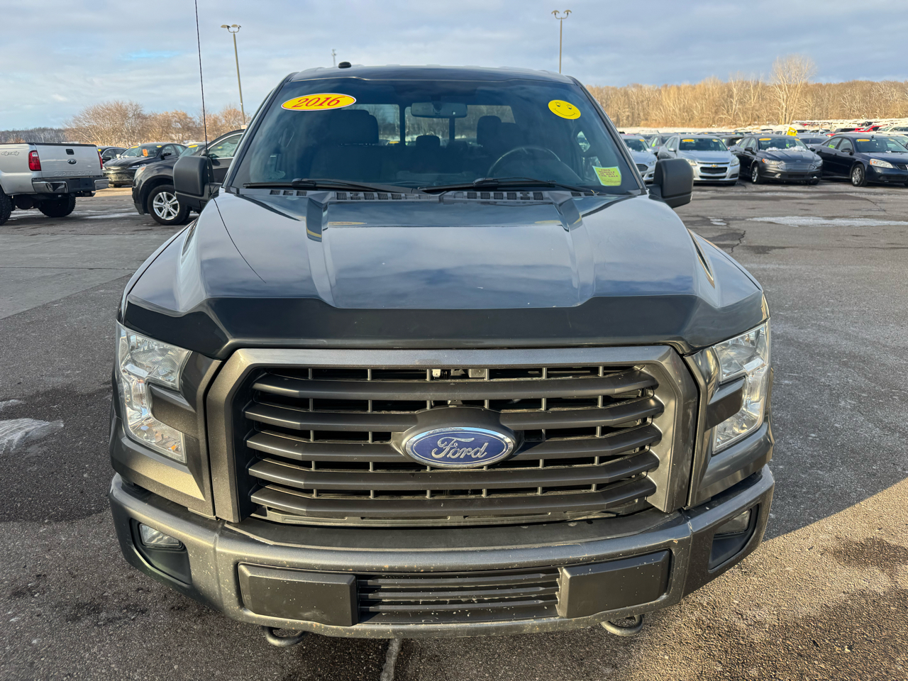 Ford F-150 XLT 4WD SuperCrew 5.5' Box 2016