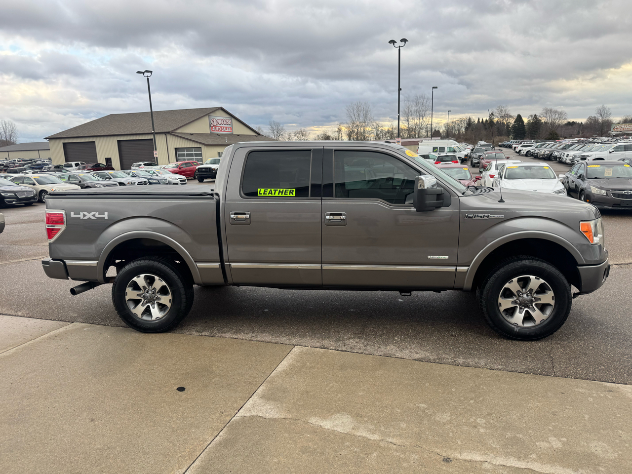 Ford F-150 4WD SuperCrew 145" Platinum 2011