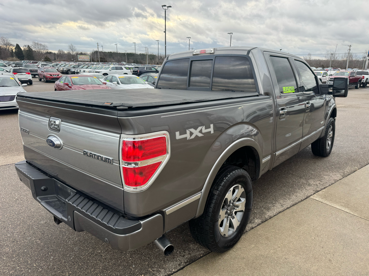 Ford F-150 4WD SuperCrew 145" Platinum 2011