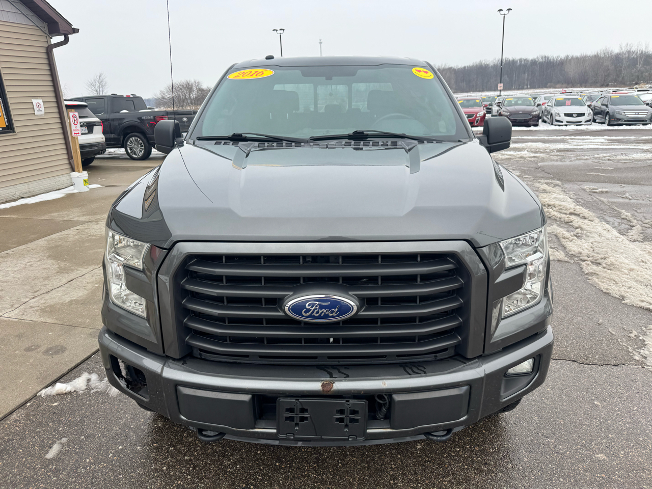 Ford F-150 4WD SuperCrew 145" XLT 2017
