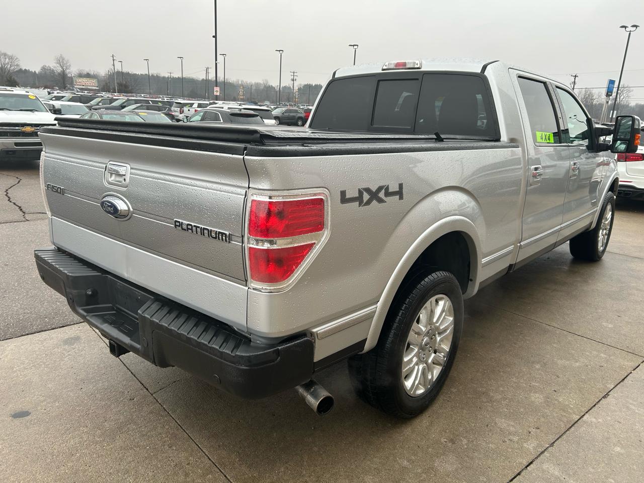 Ford F-150 4WD SuperCrew 157" Platinum 2013