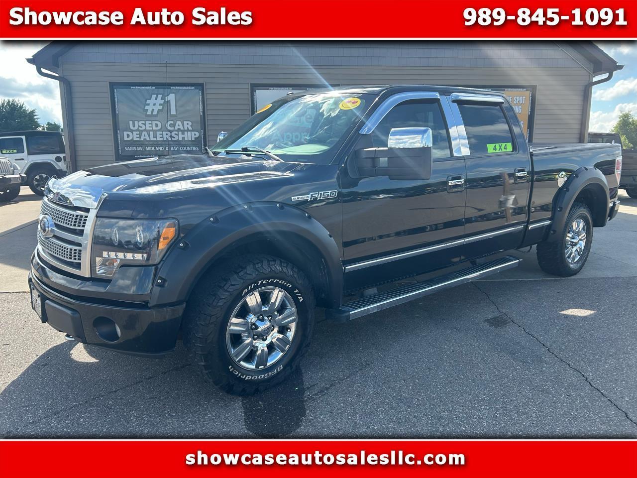 Ford F-150 4WD SuperCrew 145" Platinum 2009