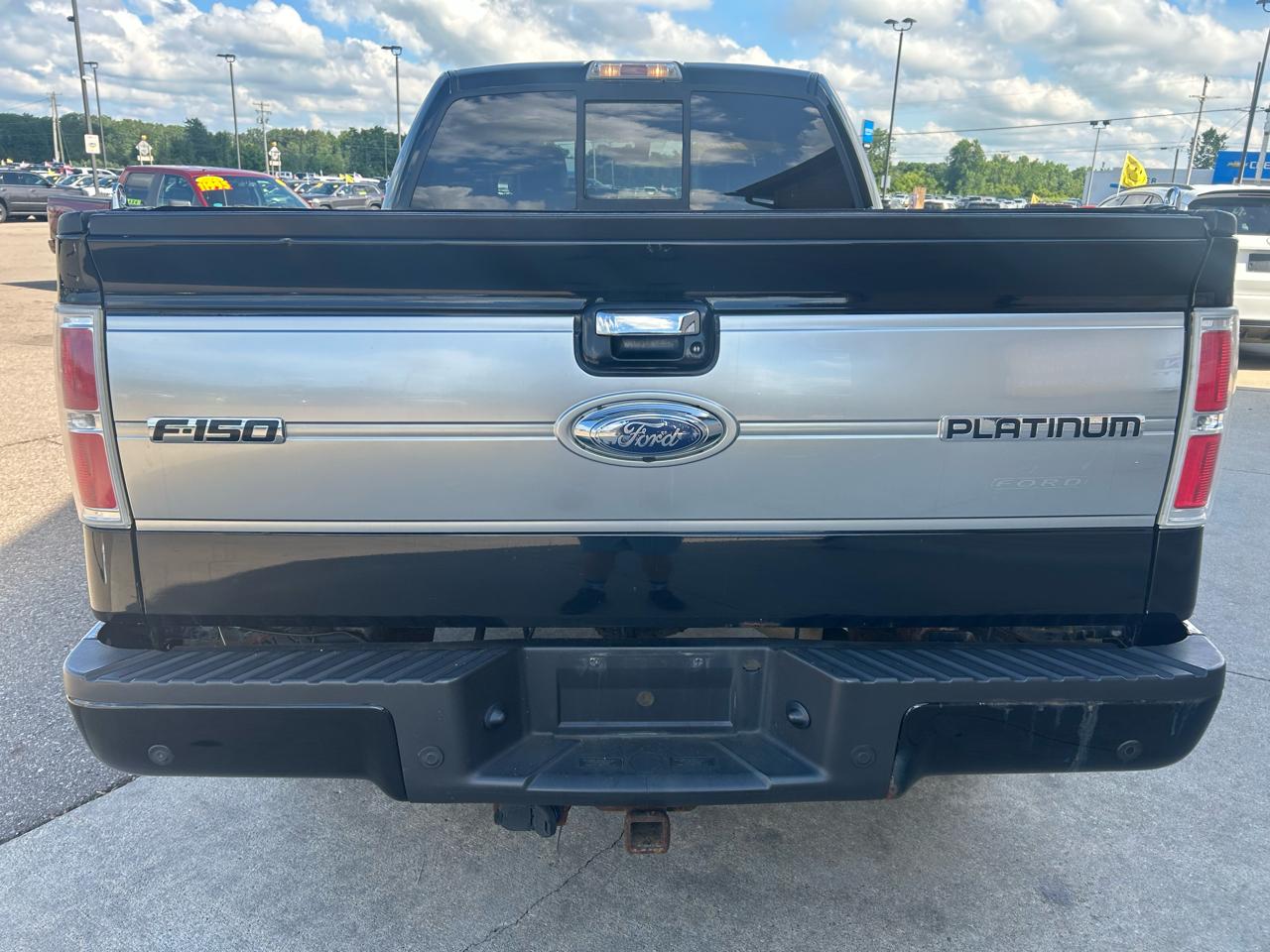 Ford F-150 4WD SuperCrew 145" Platinum 2009