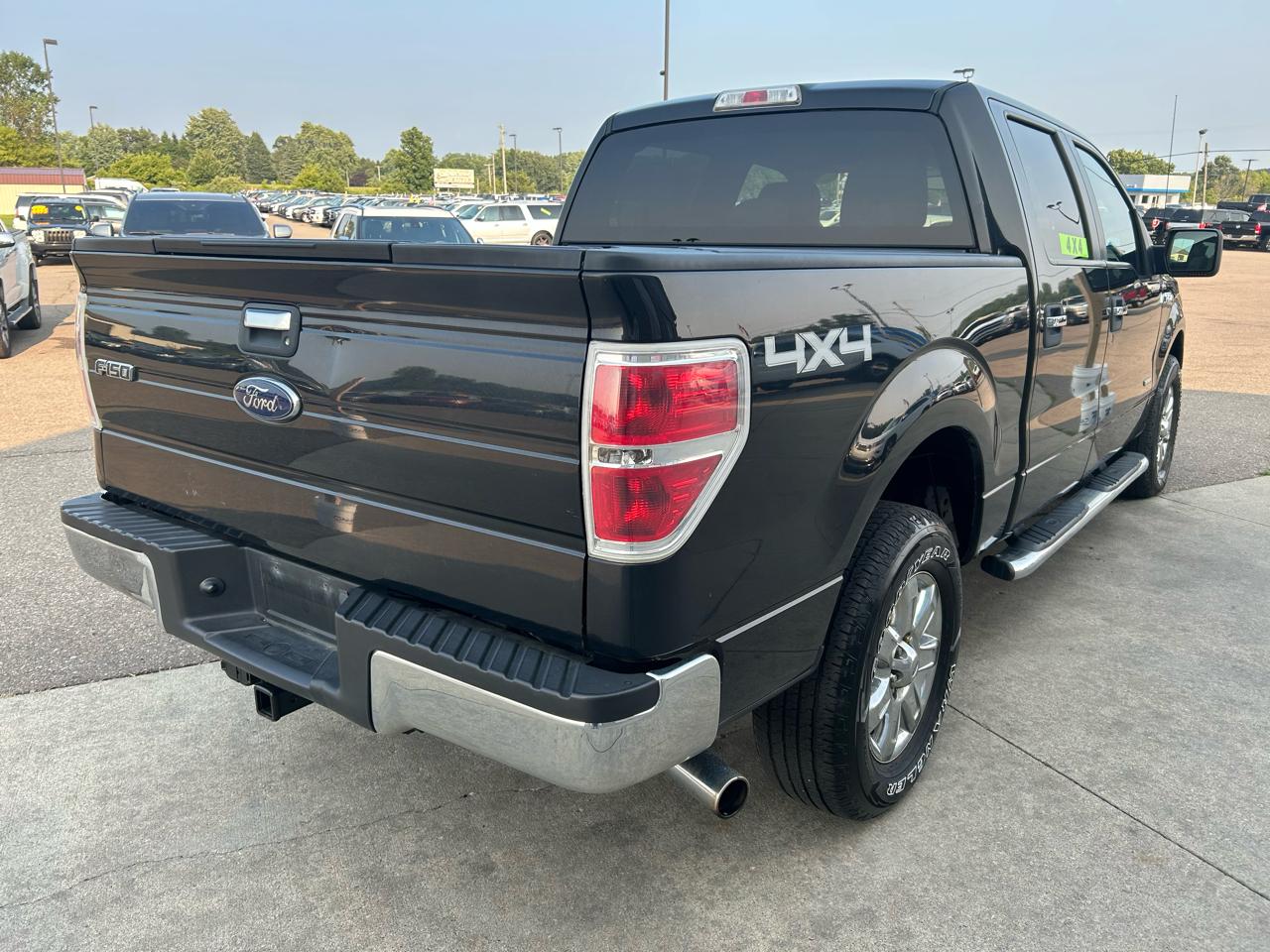 Ford F-150 4WD SuperCrew 145" XLT 2013