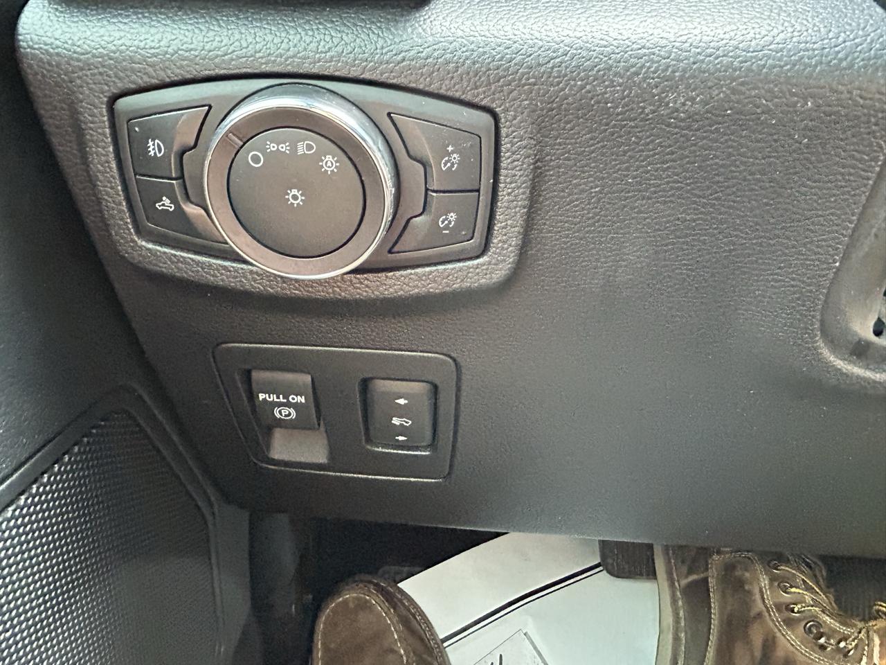 Ford F-150 XLT 4WD SuperCab 6.5' Box 2019