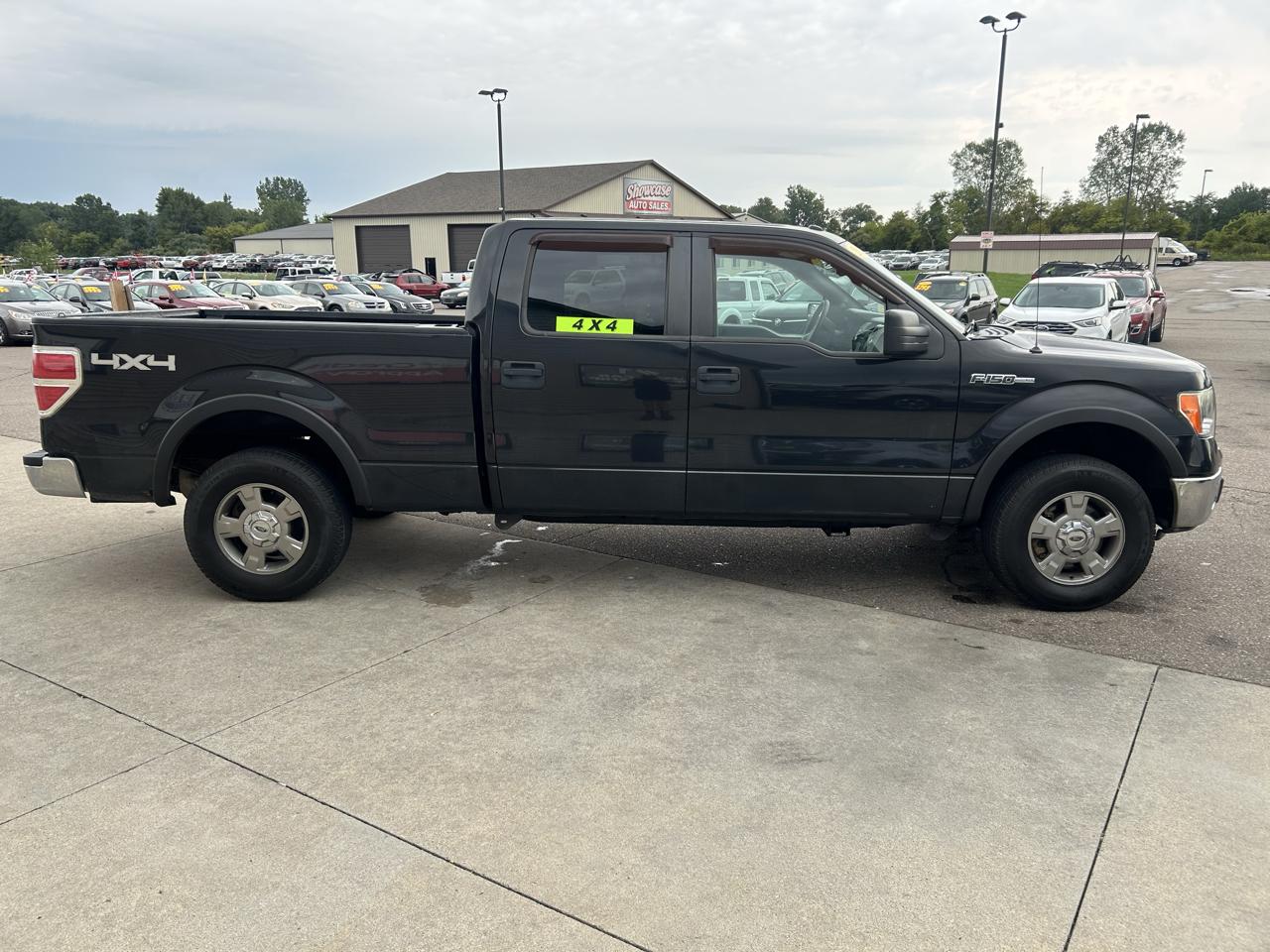 Ford F-150 4WD SuperCrew 145" XLT 2014