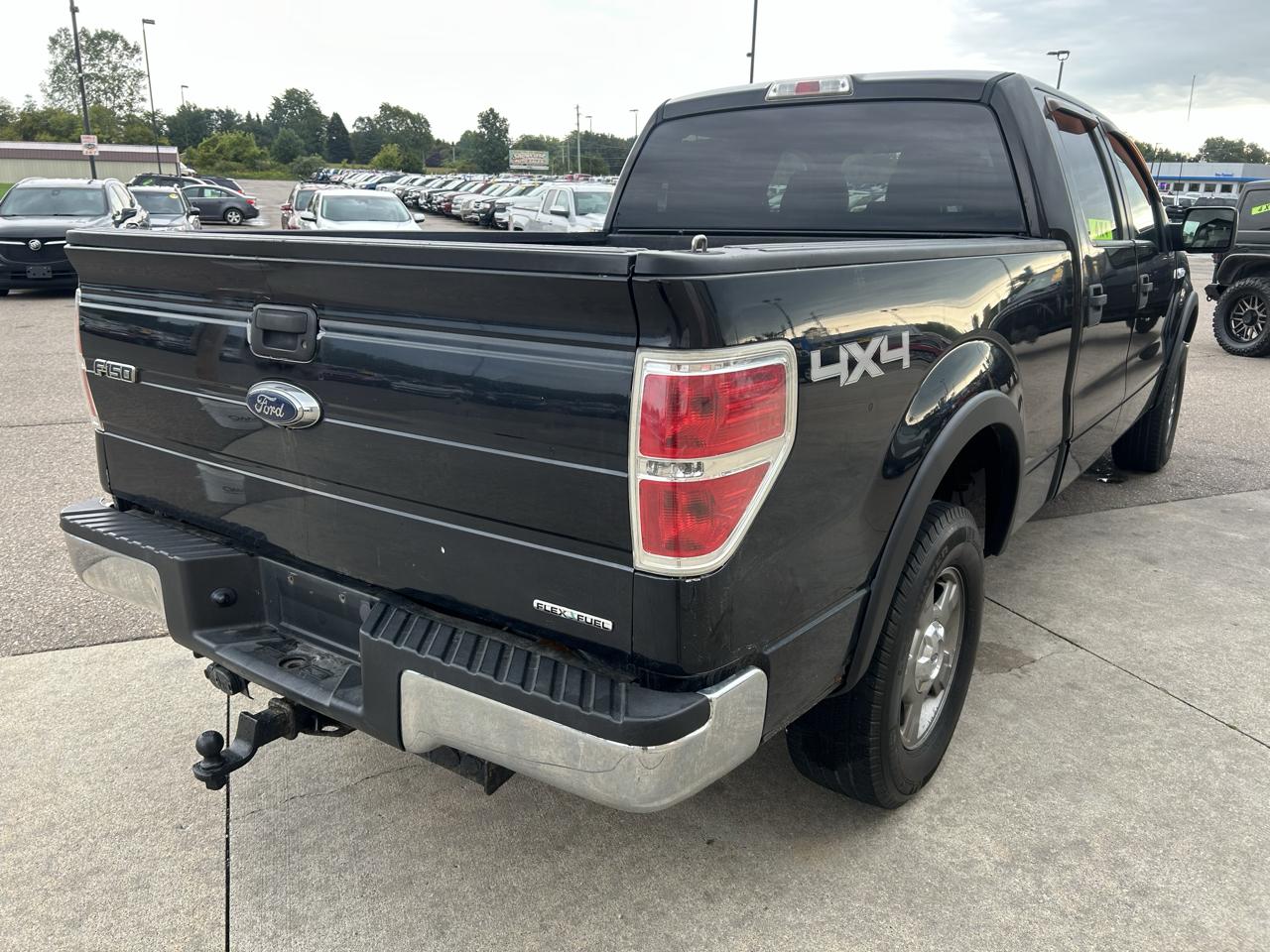 Ford F-150 4WD SuperCrew 145" XLT 2014