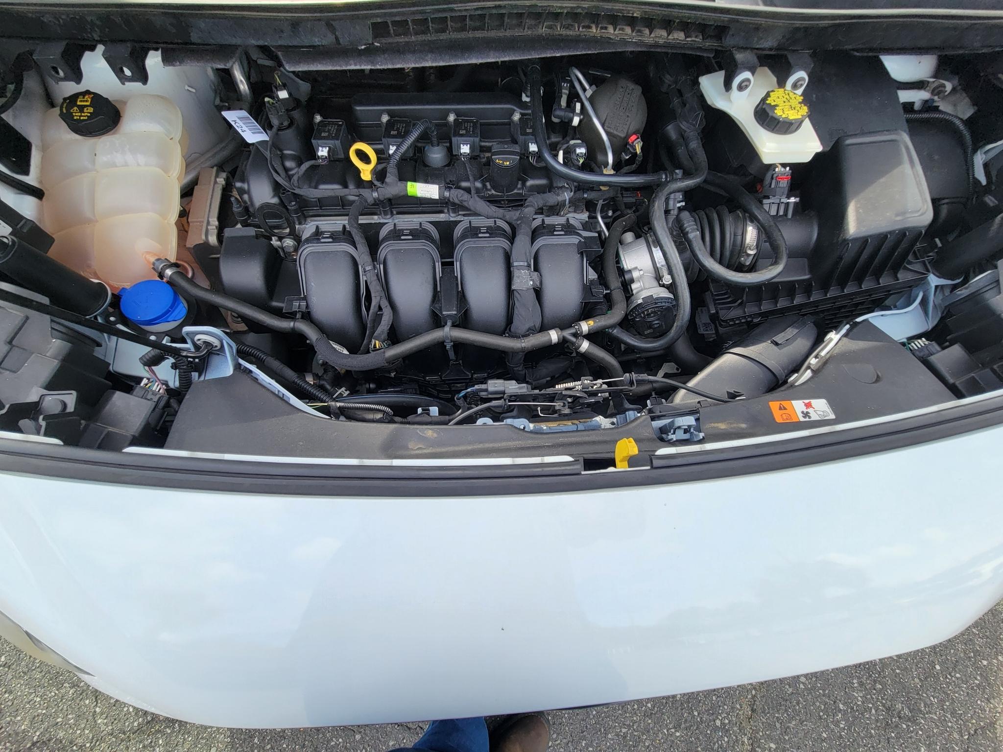 Ford Transit Connect Van XL LWB w/Rear Symmetrical Doors 2019