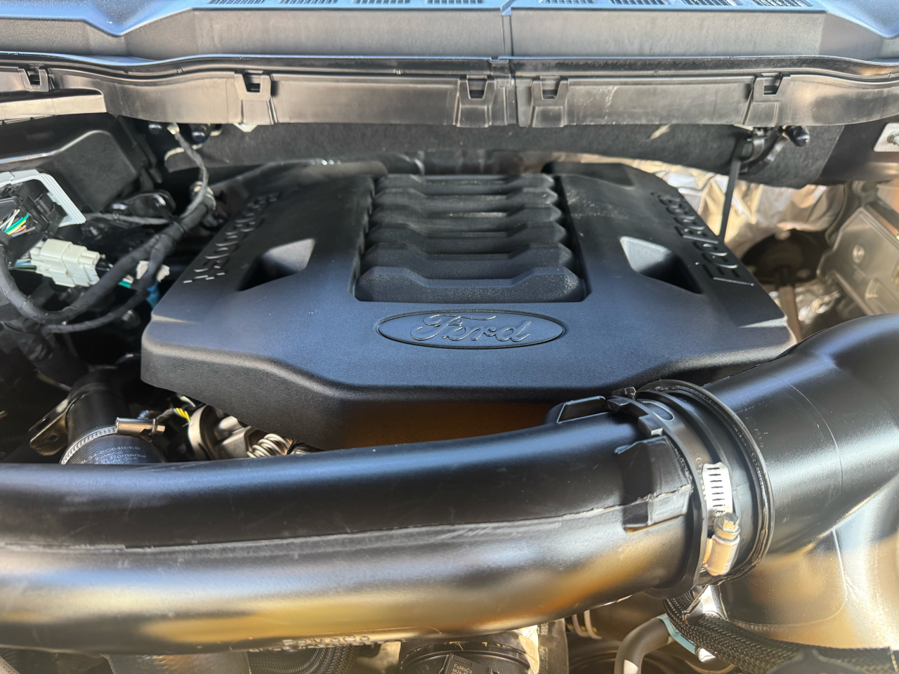 Ford F-150 XLT SuperCrew 6.5-ft. Bed 4WD 2022