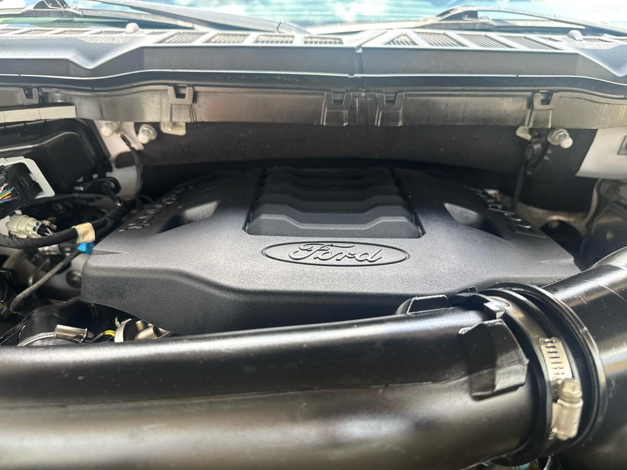 Ford F-150 XLT SuperCrew 5.5-ft. Bed 4WD 2023