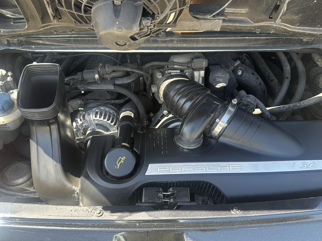 Porsche 911 Carrera Base 2005