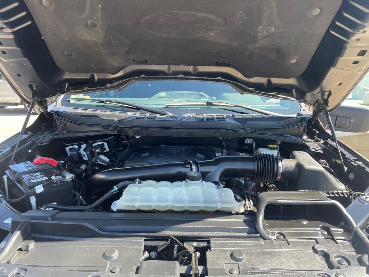 Ford F-150 XLT SuperCrew 5.5-ft. Bed 4WD 2021