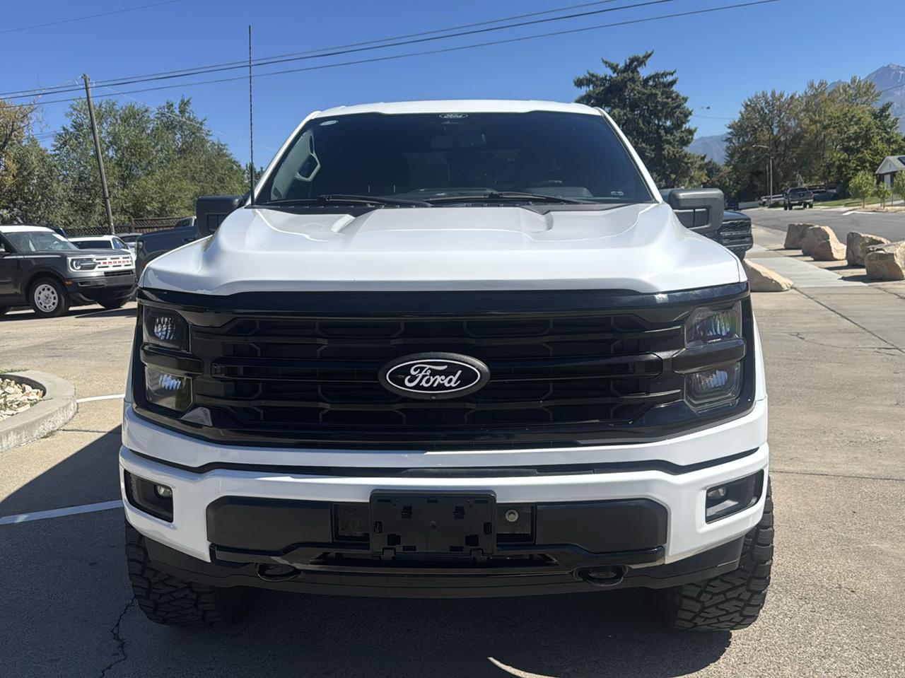 Ford F-150 photo 2