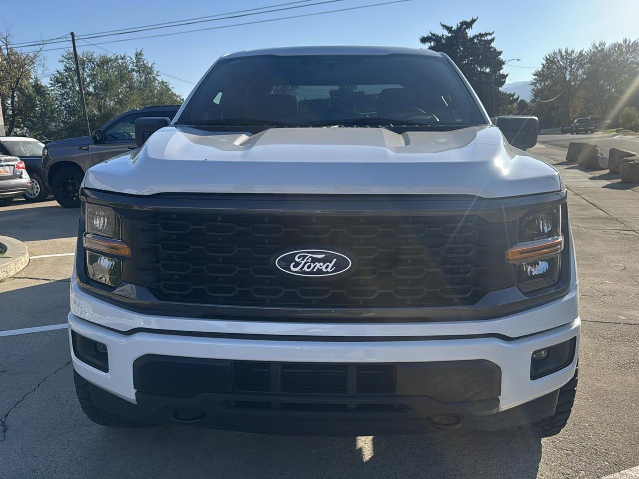 Ford F-150 photo 2