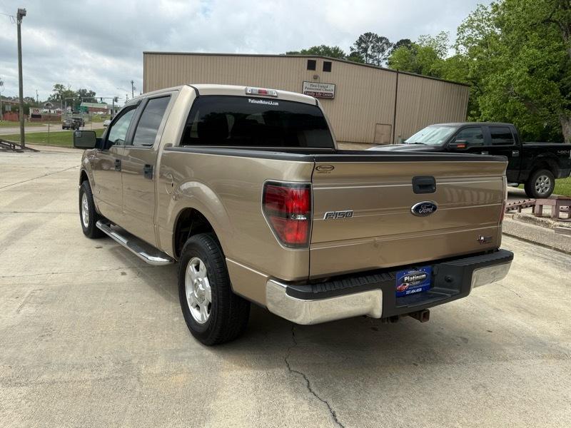 Ford F-150 2WD SuperCrew 145" XLT 2012