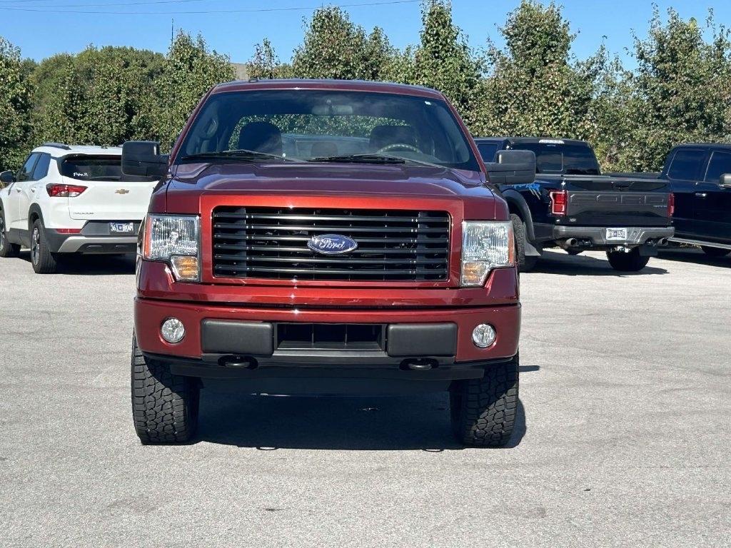Ford F-150 4WD SuperCrew 145" Platinum 2014