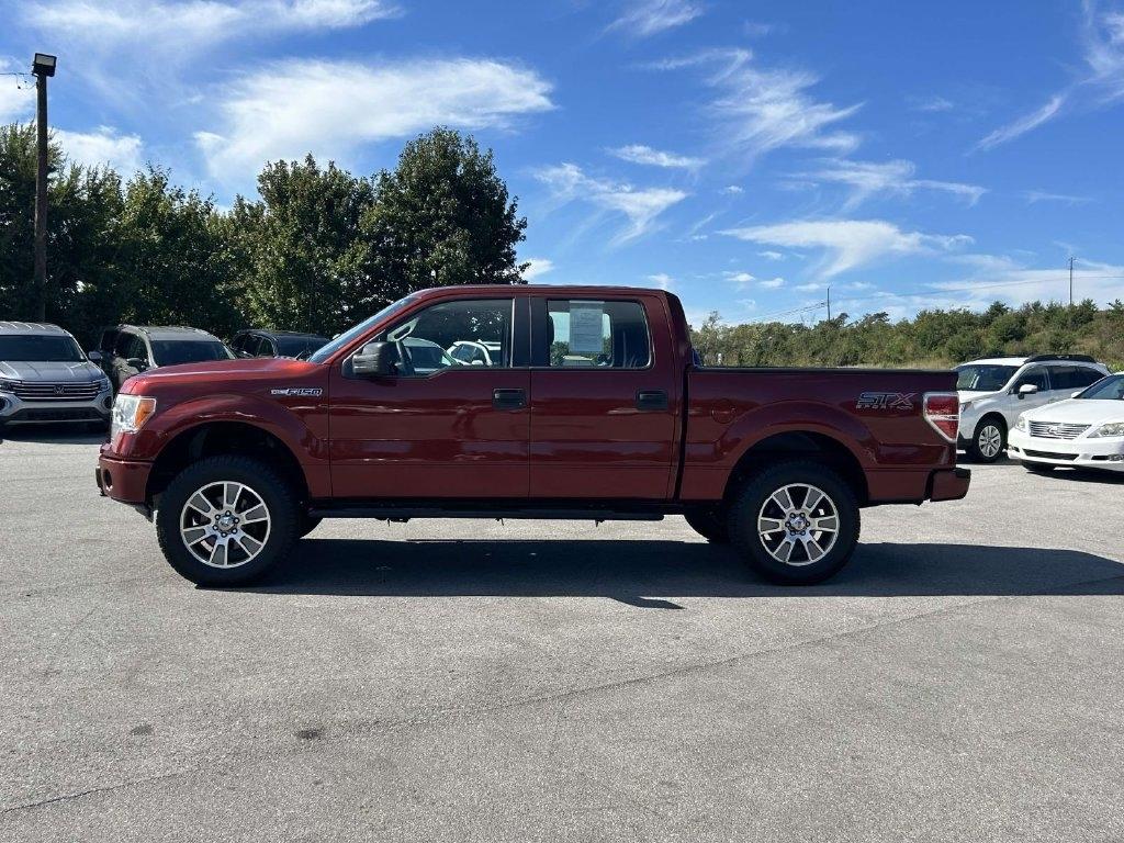 Ford F-150 4WD SuperCrew 145" Platinum 2014