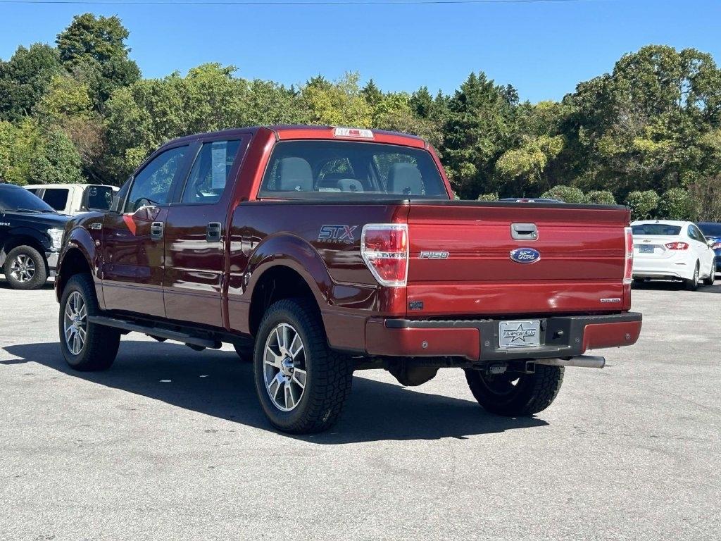 Ford F-150 4WD SuperCrew 145" Platinum 2014