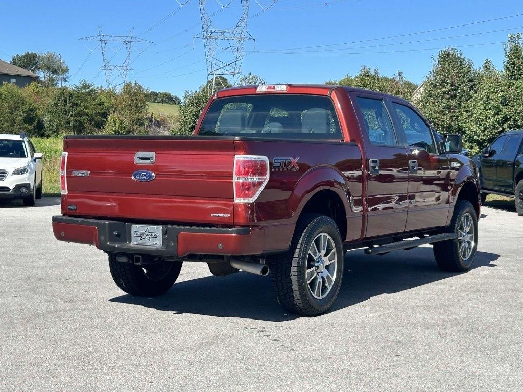 Ford F-150 4WD SuperCrew 145" Platinum 2014