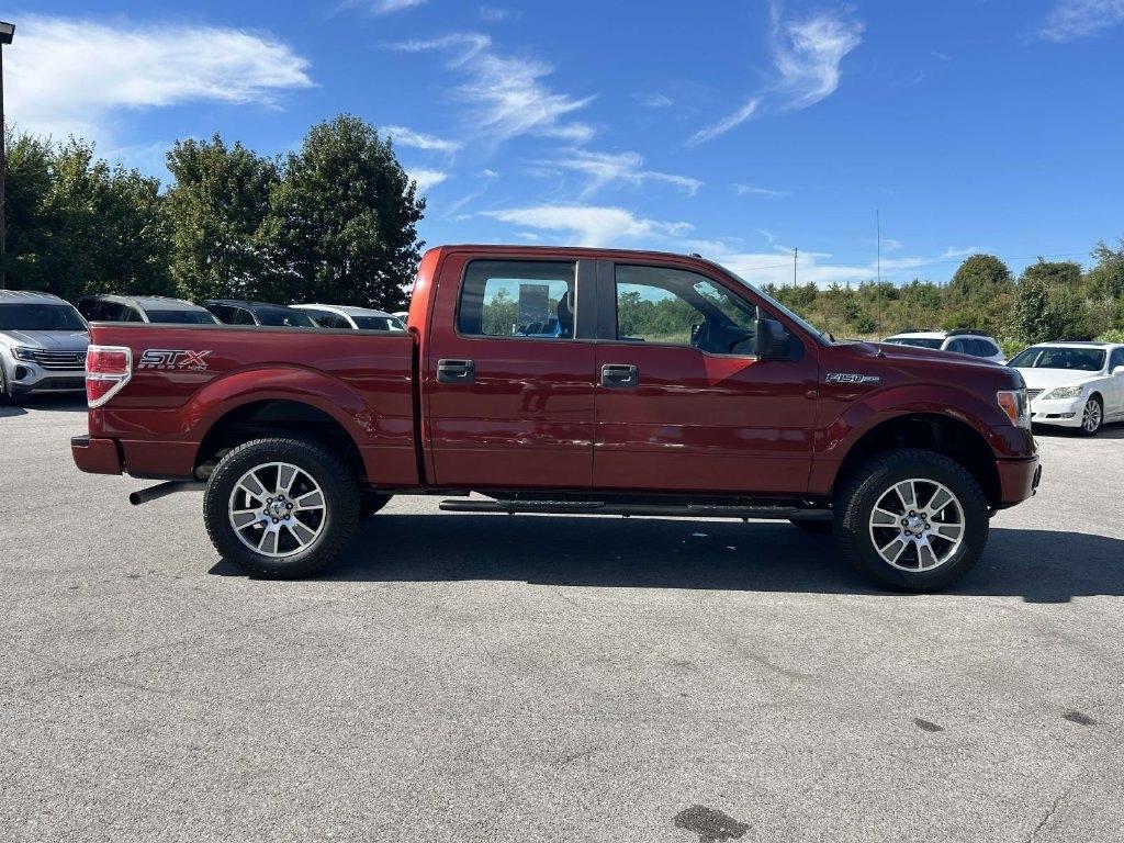 Ford F-150 4WD SuperCrew 145" Platinum 2014