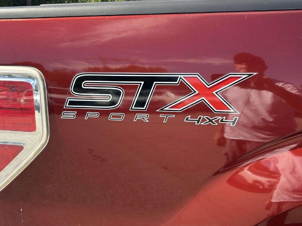 Ford F-150 4WD SuperCrew 145" Platinum 2014