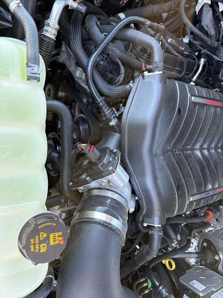 Ford F-150 XL 4WD 2025