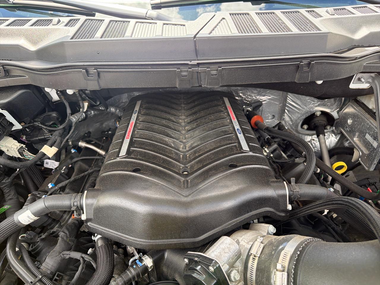Ford F-150 XL 4WD 2024