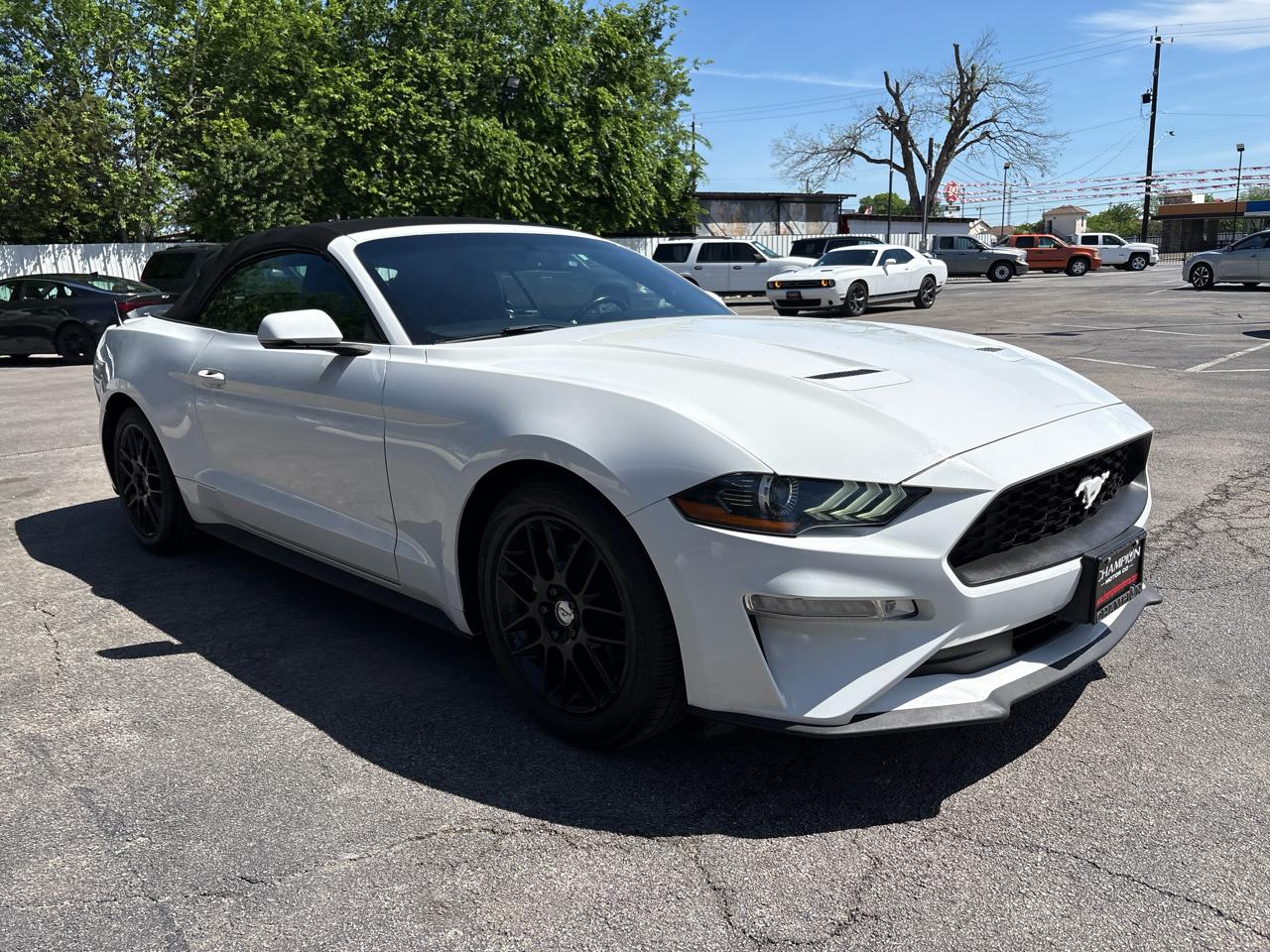 Ford Mustang EcoBoost Convertible 2019